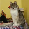 Отзыв от Лия Артемова
